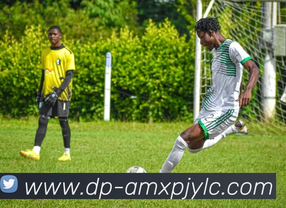 新葡京娱乐发展历程